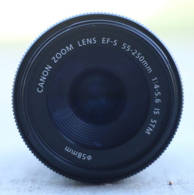 camera lens with ground and grass