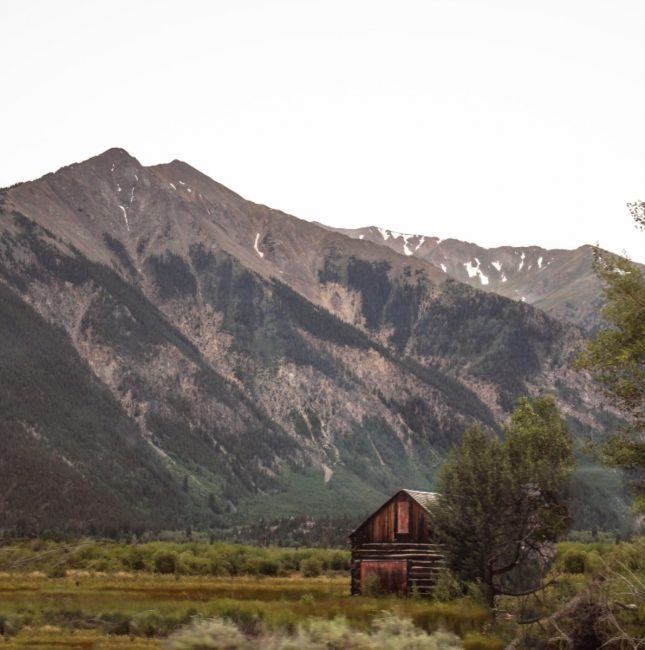 mountain, barn, tree, grass, bushes, shrubs, mountain, snow, and cloudy sky